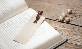 班马文章的意思 班马什么意思是什么