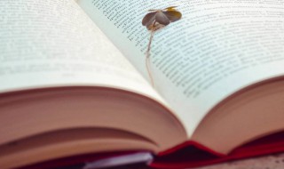 支吾其词的意思 支吾的词语解释意思