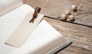 窥园是什么意思 窥园的意思