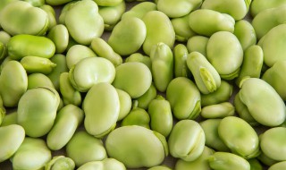 蚕籽多少天出来小蚕 蚕籽几天出生蚕宝宝