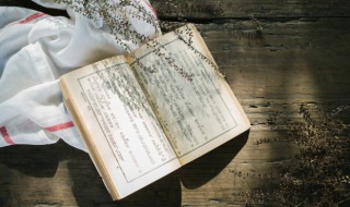 侍卫是什么意思（温蒂公主的侍卫是什么意思）