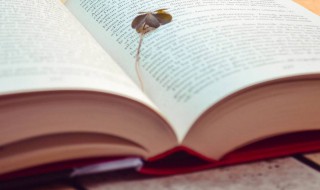 家宰是什么意思 古代家宰是什么意思