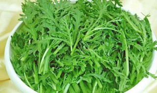 茼蒿痛风能吃吗（痛风能吃苘蒿吗）