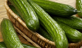 种黄瓜的方法和枝术（黄瓜打枝技术）