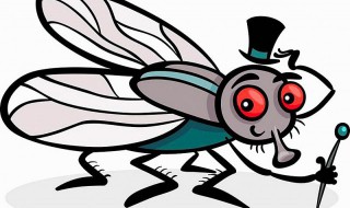 快速杀死小瓜虫的方法（快速杀死小瓜虫的方法是什么）