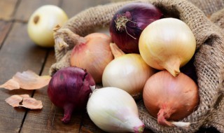 种洋葱的方法（栽洋葱的方法）