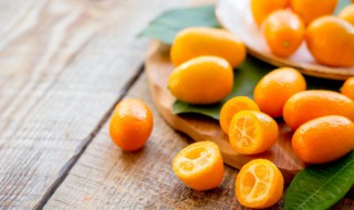 冰糖金桔膏的功效 冰糖金桔膏的功效与作用禁忌