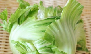 包心芥菜种植时间和方法（包心芥菜种植时间及种植技术要点）
