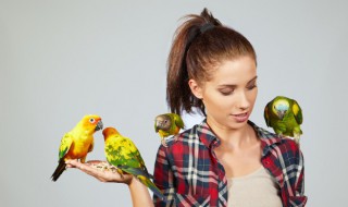 鹦鹉为什么突然死了（鹦鹉为什么突然死了1只）