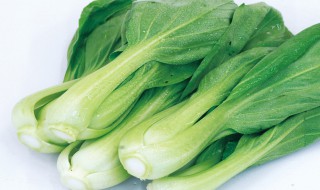小白菜怎么挑选（小白菜怎么挑选好的）