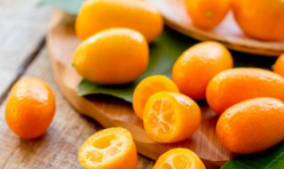 金钱橘熬冰糖的功效 金钱橘熬冰糖的作用