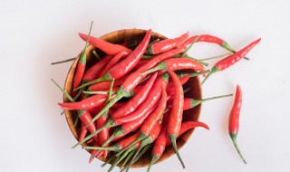 种辣椒的方法和步骤 怎么种植辣椒