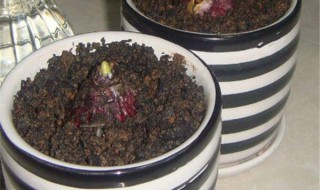 多菌灵拌土用量和方法 一袋多菌灵可以拌多少土