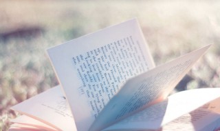 榴字组词 榴字组词四字词语