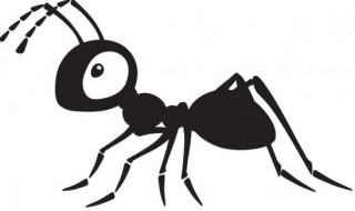 防治白蚁最有效的方法（防治白蚁最有效的方法是什么）