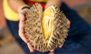 种榴莲的方法 种榴莲的方法有哪些