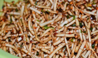 无土栽培折耳根的方法 折耳根无土栽培技术