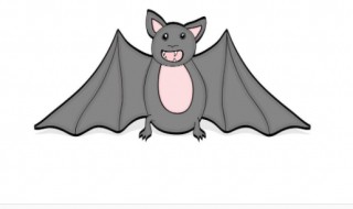 什么动物吃蝙蝠 什么动物吃蝙蝠还不会中毒