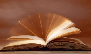 关于雪的古诗大全 小学生关于雪的古诗大全