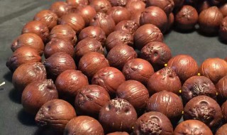 什么菩提子最好看 什么菩提子最好看最结实