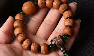 菩提子是什么意思 菩提树下菩提子是什么意思