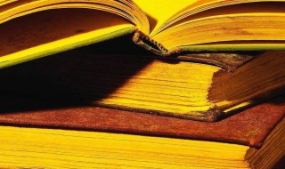 行吟是什么意思（行吟是什么意思解释一下）