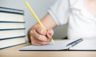 关于苏轼的故事 关于苏轼的故事100字