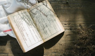 姈怎么读（姈怎么读拼音）