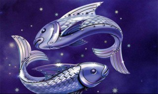 双鱼的恋爱是什么味道（双鱼恋爱特点）