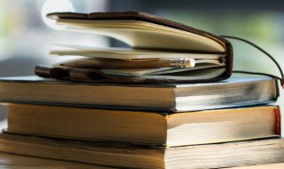 家狗和野狼告诉我们什么道理 家狗和狼的道理