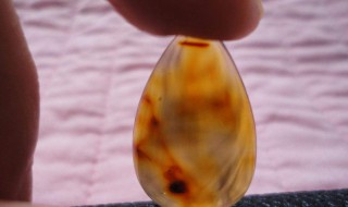 琥珀是什么?它有什么特点?（琥珀的特点有）