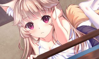 狐姬茉莉为什么离开（狐姬茉莉最后怎么了）