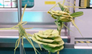 带蚂蚱进车站可以过安检吗（带蚂蚱进车站可以过安检吗）