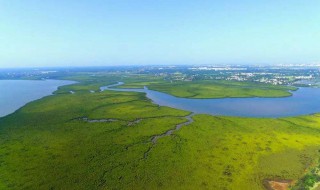 四月份是什么季节（农历四月份是什么季节）