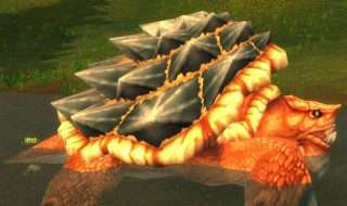 乌龟的行走方式怎么写 乌龟的行走方式怎么写的