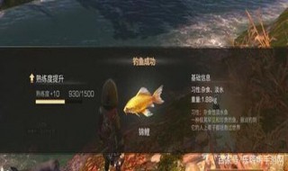 明日之后锦鲤出现几率 明日之后鲤鱼是锦鲤吗