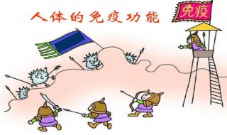 免疫应答分几类,各有什么特点?（免疫应答的分类及特点）