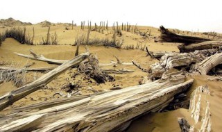 楼兰古城为什么是禁区(楼兰古城为什么不让进)