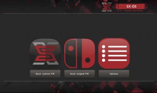 switch游戏无法启动软件 switch 无法启动软件