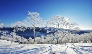 积雪对农作物保温作用的原理 积雪对土壤起保温作用