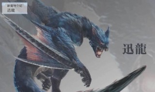 怪物猎人世界冰原迅龙弱什么属性 怪物猎人世界冰原碎龙弱什么属性