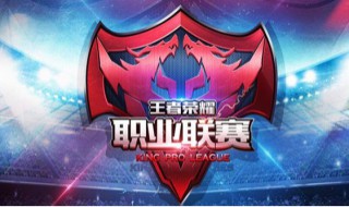 职业选手标签会在哪里展示? 职业选手认证标志