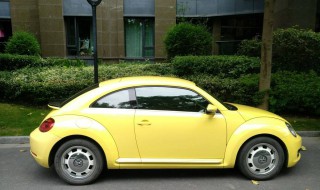 路边可以停车吗(街道路边可以停车吗)