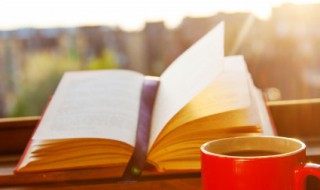 一旦山陵崩长安君何以自托于赵句式（安陵君因使唐使于秦翻译）