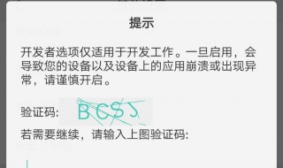 不小心打开了开发者模式怎么办 不小心打开了开发者模式怎么办呀