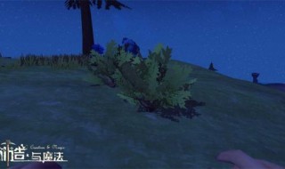 创造与魔法杂草在哪多 创造与魔法家里的杂草怎么除