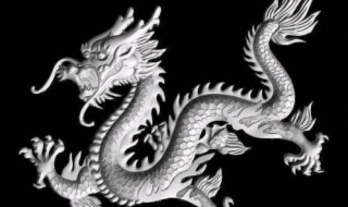 世界上到底有没有龙（世界上到底有没有龙 真实）