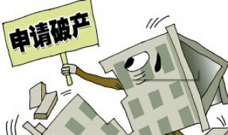 一个公司申请破产要多久（申请公司破产需要多久）