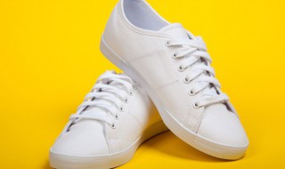 鞋子用什么洗可以洗白(鞋子脏了用什么洗才可以洗白)