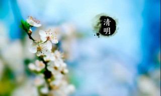 清明节吃什么（中国古代风俗规定清明节吃什么）